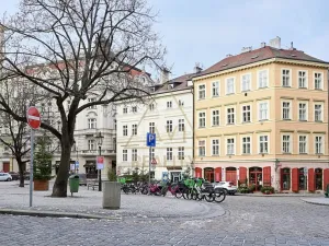 Pronájem bytu 2+kk, Praha - Staré Město, Haštalská, 58 m2