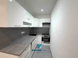 Pronájem bytu 2+kk, Ústí nad Labem, Anežky České, 49 m2