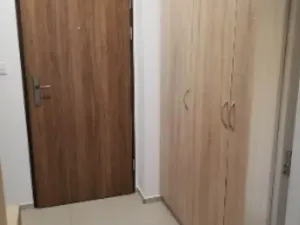 Pronájem bytu 1+kk, Hodonín, 45 m2