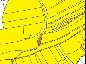 Prodej lesa, Častrov, 886 m2