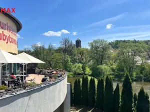 Prodej obchodního prostoru, Týnec nad Sázavou, Ing. Fr. Janečka, 200 m2