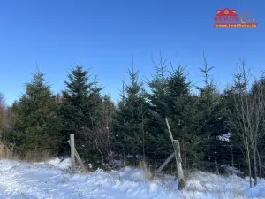 Prodej lesa, Horní Radechová - Slavíkov, 51351 m2