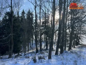 Prodej lesa, Horní Radechová - Slavíkov, 51351 m2