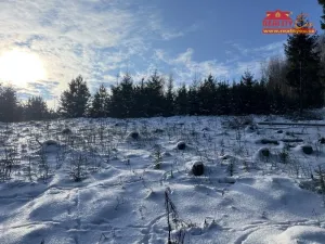 Prodej lesa, Horní Radechová - Slavíkov, 51351 m2