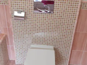 Pronájem bytu 2+kk, Frýdek-Místek, Ostravská, 81 m2