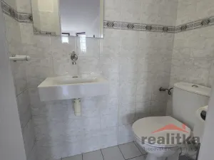 Pronájem bytu 3+kk, Opava, Slovenská, 120 m2