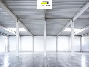 Pronájem výrobních prostor, Bor - Nová Hospoda, 10590 m2