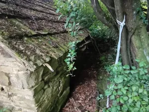 Dražba - jiné, Brumov-Bylnice, 106 m2