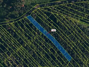 Dražba lesa, Dolní Vilémovice, 1957 m2