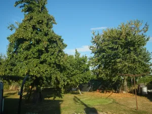 Dražba rodinného domu, Nasavrky, 231 m2