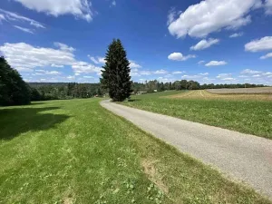 Dražba pole, Boňkov, 3466 m2