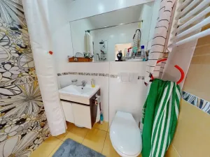 Prodej bytu 3+1, Březová, Hamerská, 151 m2