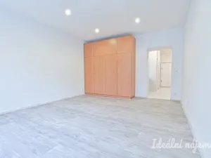 Pronájem bytu 1+1, Brno, Antonínská, 38 m2