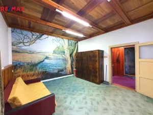 Prodej rodinného domu, Skočice, 289 m2