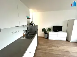 Pronájem bytu 1+kk, Plzeň - Lobzy, Částkova, 25 m2