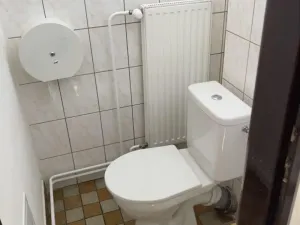 Pronájem obchodního prostoru, Přerov - Přerov I-Město, Šířava, 255 m2