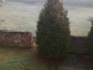 Pronájem bytu 2+1, Toužim, Farní, 66 m2