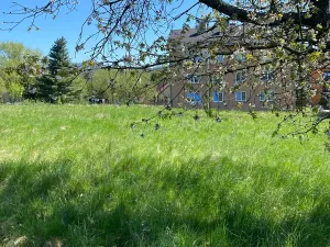 Prodej pozemku pro bydlení, Hamr na Jezeře, 875 m2