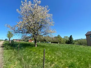 Prodej pozemku pro bydlení, Hamr na Jezeře, 875 m2