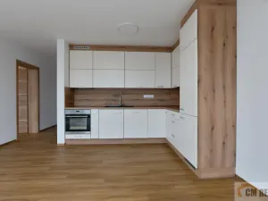 Pronájem bytu 3+kk, Bedihošť, Sv. Václava, 90 m2