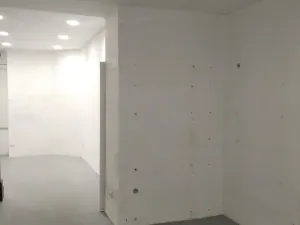 Pronájem obchodního prostoru, Brno, Průchodní, 59 m2