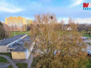 Pronájem bytu 2+1, Ostrava - Poruba, Alžírská, 49 m2