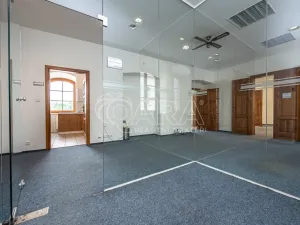 Pronájem obchodního prostoru, Mladá Boleslav - Mladá Boleslav I, Vodkova, 298 m2