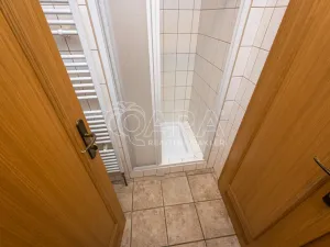 Pronájem obchodního prostoru, Mladá Boleslav - Mladá Boleslav I, Vodkova, 298 m2