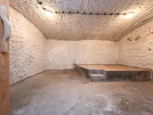 Pronájem obchodního prostoru, Mladá Boleslav - Mladá Boleslav I, Vodkova, 298 m2