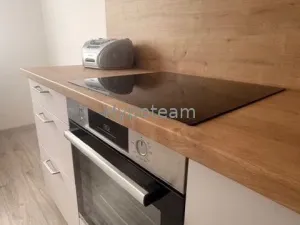 Pronájem bytu 1+1, Ústí nad Labem - Severní Terasa, Švestková, 34 m2