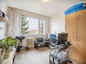 Pronájem bytu 3+1, Mladá Boleslav, Havlíčkova, 78 m2