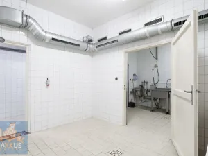 Pronájem obchodního prostoru, Praha - Strašnice, Počernická, 140 m2