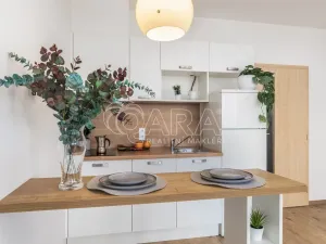 Pronájem bytu 1+kk, Praha - Stodůlky, Holýšovská, 12052 m2