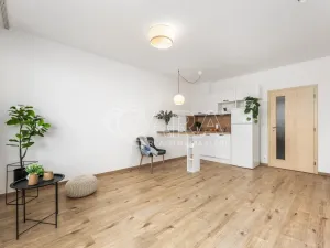 Pronájem bytu 1+kk, Praha - Stodůlky, Holýšovská, 12052 m2