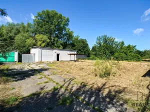 Pronájem výrobních prostor, Ostrava - Zábřeh, Horymírova, 98 m2