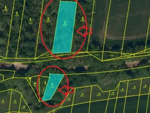 Prodej lesa, Dolní Životice, 2675 m2