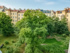 Pronájem bytu 4+1, Praha - Vinohrady, Polská, 147 m2