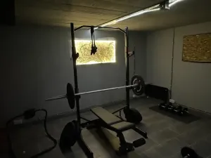 Prodej rodinného domu, Velké Pavlovice, Ostrovecká, 230 m2