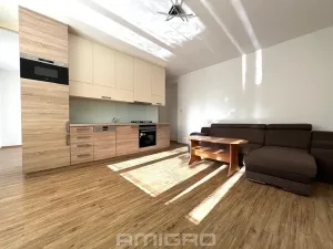 Pronájem bytu 1+kk, Brno, Podlesí, 39 m2