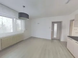 Pronájem bytu 3+kk, Vícenice u Náměště nad Oslavou, 90 m2