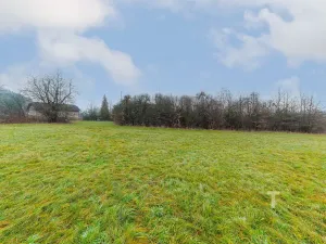 Prodej pozemku pro bydlení, Potštejn, 1000 m2