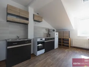 Pronájem pokoje, Olomouc, Náves Svobody, 14 m2