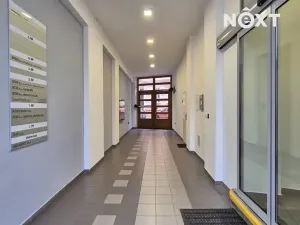Pronájem kanceláře, Brno, Bezručova, 250 m2