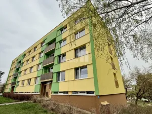 Pronájem bytu 3+1, Ledeč nad Sázavou, Stínadla, 61 m2