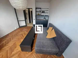 Pronájem bytu 1+kk, Brno, Halasovo náměstí, 24 m2