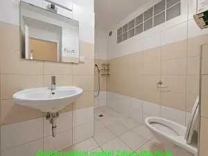 Prodej bytu 2+kk, Praha - Žižkov, Domažlická, 52 m2