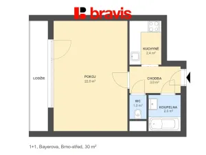 Pronájem bytu 1+1, Brno - Veveří, Bayerova, 30 m2