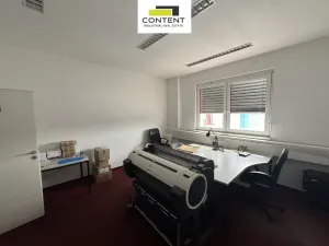 Pronájem výrobních prostor, Nupaky, Komerční, 1918 m2