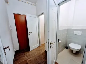 Pronájem bytu 1+1, Děčín - Děčín IV-Podmokly, Raisova, 44 m2