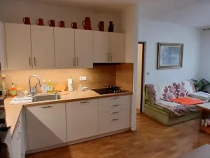 Prodej bytu 2+kk, Brno - Bohunice, Neužilova, 45 m2